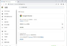 Chrome浏览器优化版  110.0.5481.178官方正式版-绿色优化版(支持WIN7）